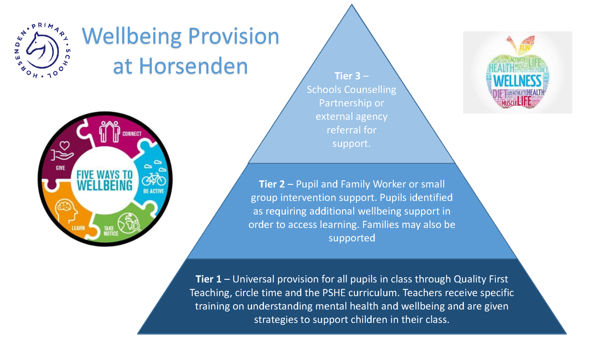 Wellbeing Provision